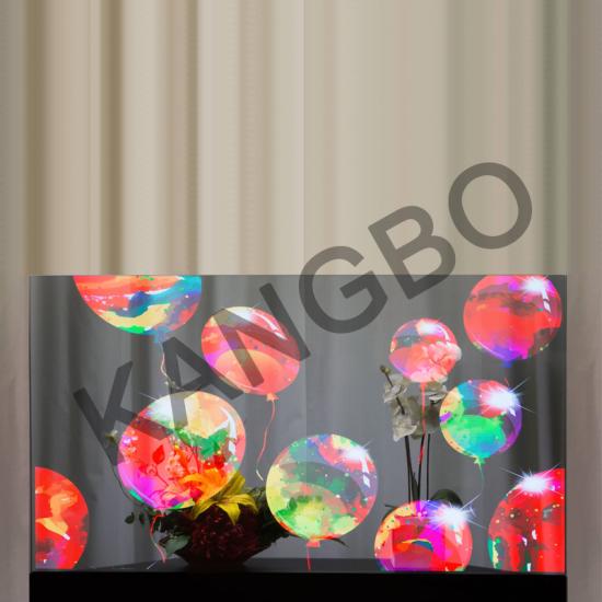 55 Inch OLED Transparent Screen 