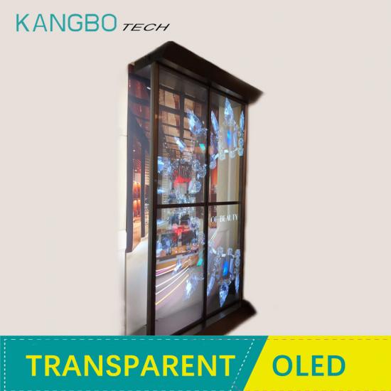 55 INCH Transparent OLED Video Wall 55